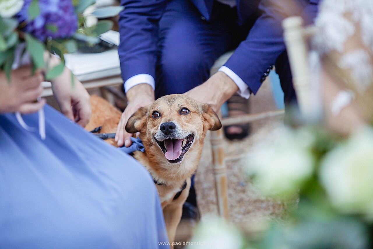 MatrimonioallaLodovica 30